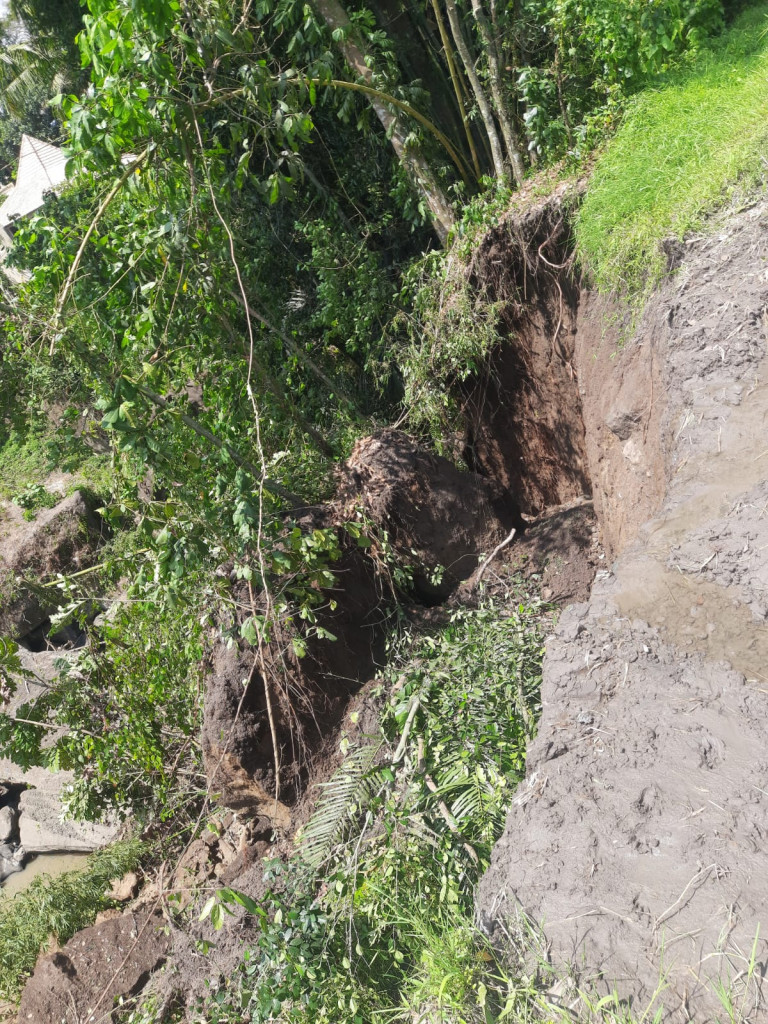 Tanah Amblas di Subak Cemagi Anyar, Banjar Pemaron, Desa Munggu, Kecamatan Mengwi Tanggal 13 November 2023